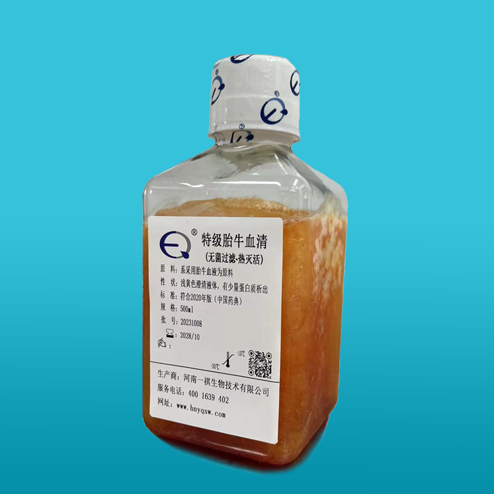 特级胎牛血清（无菌过滤、热灭活）