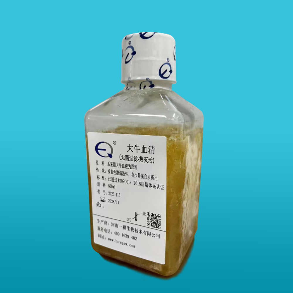 大牛血清（无菌过滤、热灭活）